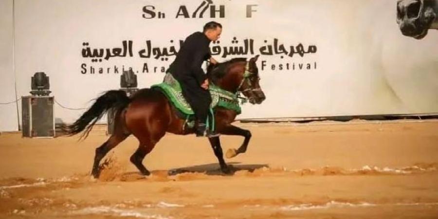 إعلان جوائز الفائزين فى مسابقة تراث أدب الخيل بمهرجان الشرقية للخيول العربية - نيوز 865